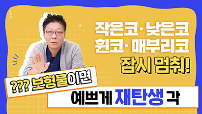 00보형물, 폼 미쳤다..! 00로 수술하면 나에게 딱 맞는 코로 재탄생각 볼수있남?