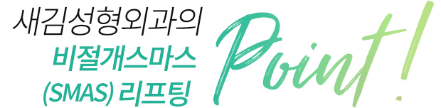 새김성형외과의 비절개스마스리프팅 point